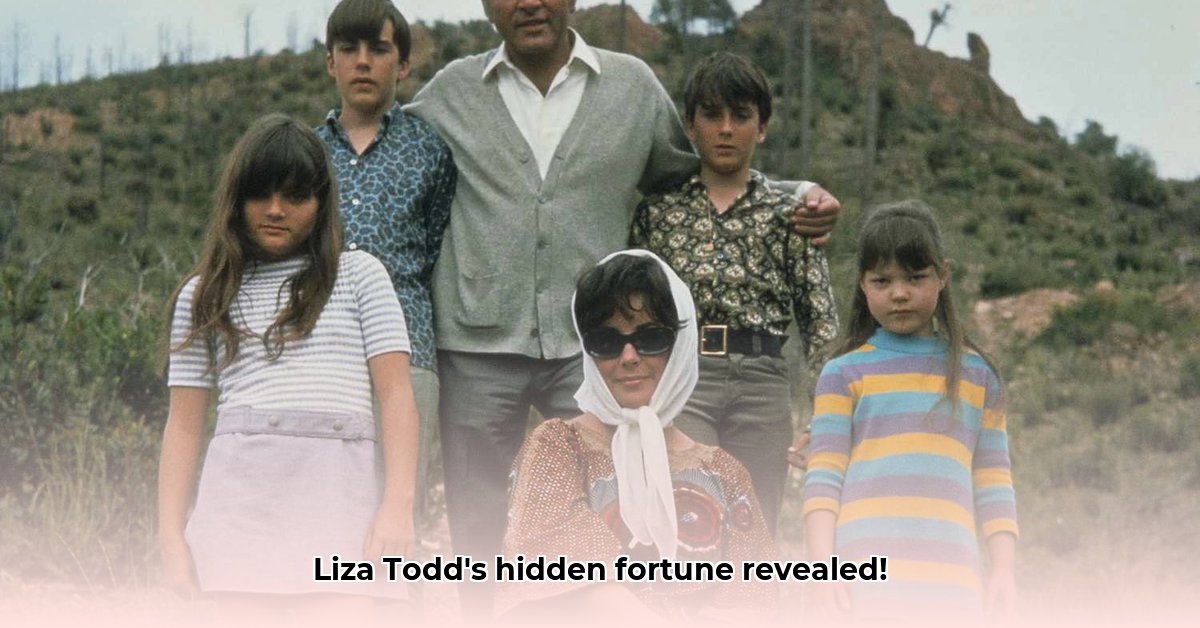 liza-todd-net-worth